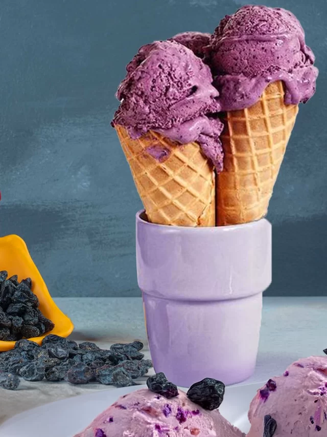 Enhance Your Ice Cream’s Appeal with Nitin’s Flavoured Dried Black Currant Fruit